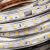 三棵松 灯带户外30米无压降包胶铜导线工程款高亮防雨24V灯带led 白光(5米)