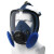 WORK CARE W8800 硅胶全面罩防尘面具KN100级别防非油性颗粒物 防尘套装（含1对KN100滤棉）