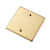 惠利得地板插座防雷接地测试点不锈钢120盖板空白面板封盲板孔地插配件 金色 空白盖板