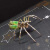 明画赛博朋克机械蜘蛛拼装金属模型3D立体拼装创意儿童手工DIY节日礼 成品版