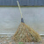 龙代（longdai）竹扫把马路环卫清洁扫帚园林庭院小笤帚 黑皮款【小竹扫】1.1米长