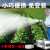 芝浦家用充电式抽水泵浇水浇菜神器菜地灌溉抽水机便携式洗车水枪 36AH锂电双核泵+10米管