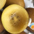 新西兰奇异果佳沛阳光金果进口黄心猕猴桃水果6个装 6个装 单果88-102g