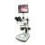彼爱姆 XTL-BM-8TP 体视显微镜 双目