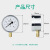 膜盒压力表YE100微压表千帕表天然气表DN15M20*1.5配套燃烧机 0-1.6KPa