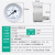 不锈钢压力表Y100ZBF 轴向耐高温耐腐蚀304 316L油压水压气压 0-0.6MPa
