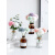 海贝海（HAIBEIHAI）ins风干花装饰小花瓶玻璃透明摆件客厅插花北 花瓶花C款