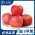 洛川苹果王掌柜红富士苹果净重9斤单果200g+ 一级果 新鲜水果 源头直发