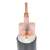 江南电缆（JIANGNAN CABLE）低压铜芯电力电缆 YJV,5*95