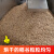 锲灼水稻烘干机 家用自动粮食风干机 稻谷玉米烘干机高梁油菜籽干燥机