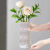 丹斯提尼简约创意透明玻璃花瓶桌面水养玫瑰鲜花瓶北欧ins风客厅插花摆件 小钻石花瓶