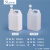 水杉5L半透明色配透气盖方桶塑料桶经济款实验室专用试剂防胀气桶5000克