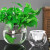 简约创意水培瓶植物透明玻璃花瓶绿萝花盆花鱼共养缸水养饰品器皿 18圆球土培篮