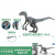 南旗多美卡安利亚侏罗纪世界暴龙霸王龙恐龙男孩玩具仿真动物模型 迅猛龙小蓝113355