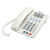 渴望来电显示电话机 高品质商务办公 白屏 单键记忆 白色