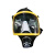 海安特(HAT)DSH-B防爆型电动送风长管呼吸器 双人（20米长管+面罩+腰带）*2+主机 断电报警