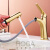 乐家（Roca）水龙头抽拉式面盆冷热 卫生间洗手台上盆拉丝金龙头 拉丝金