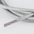 SDFFKOS304不锈钢包塑晾衣绳大棚架子防护网涂塑包胶钢丝绳遮阳网裹胶绳 包塑钢丝绳8mm（3米价）