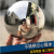 京索定制款定制304不锈钢圆球空心球1.2mm加厚镜面球装饰白钢 32mm1.2厚精品圆球[304]