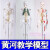 45 85 170cm人体骨骼模型骨架人体模型小白骷髅教学脊椎身 85厘米【挂式-神经+间椎盘+ 身肌肉起止点】
