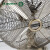 金羚（JINLING）仿古风扇电风扇复古欧式怀旧金属古铜色电扇大风量台扇FT-25F4