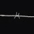 海斯迪克 HK-153 防盗刺 围栏 刺蒺藜隔离护栏防护网防爬刺 1.8mm×10m钢丝 刺距8cm