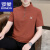 罗蒙（ROMON）2024夏季新款纯色百搭短袖T恤男士半拉链设计立领青年休闲半袖衫 砖红 M