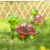 博雷奇led动物造型灯乌龟灯发光情人龟树脂草坪灯景观装饰小品灯灯 草绿色