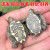龟龟爬天下地图龟苗小地图龟清洁龟活体宠物水龟观赏龟活物深水观赏龟 4-5厘米 1只龟
