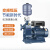 普轩特变频自吸增压泵全自动大流量大功率抽水泵恒压供水水泵 12方22米2.2KW三相2寸口径 PXZ20-3