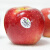 芒司令【顺丰速发】新西兰进口红玫瑰苹果 丹烁脆甜多汁当季新鲜 【中果】15枚（120-140g） 红玫瑰苹果-发顺丰