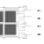 Flyin 电子通讯应变片模块BA350-4BB(11)-G50
