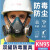 安爽利（ASL）防毒口罩防尘面具KN95全面罩带防雾护目镜 专用滤棉20片 