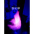 焰色反应高中化学实验金属性质中小学幼儿园科普教学表演示小制作 一套试剂+酒精灯+钴镜