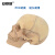 安赛瑞 人体头骨模型 人体原色头骨模型 15部件头颅骨模型可拆卸 美术素描学习1:2骷髅头 601530