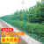 高速公路双边丝护栏网户外隔离网铁丝网围栏围墙养殖防护钢丝网 丝径5mm(1.8*3米一套)