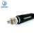 起帆（QIFAN）电缆 YJLV 3*70+2*35平方铝芯户外用电缆线（按需生产）1米单价 100米起售