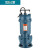 泰乐之星 TAI  LE  ZHI  XING 小型污水污物潜水电泵WQD（220v/380v）系列（可定制） WQD 220V/0.75KW