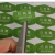 已消毒标签贴纸干洗店打包标识贴纸成衣包装标识卡餐厅 3.5*2厘米绿色已消毒1千
