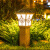 动真格（DongZhenGe）太阳能户外仿古庭院草坪柱头灯花园布置装饰围墙院子照明景观灯柱 高配款-吉祥福花古铜色-高60cm