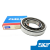 SKF 圆柱滚子轴承  RN219ECM