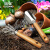 小型不锈钢铲两件套园艺工具用品翻土种植树铲子耙子小号种花工具 木柄两件套
