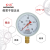 红旗牌仪表Y-100径向普通压力表气压表水压表真空负压表精度1.6级 -0.1~0.3MPa