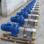 不锈钢转子泵厂家 凸轮式双转子泵  高粘度卫生级凸轮转子泵 2-7T/H(3kw）