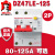 DZ47-125漏电断路器2P单相两极大功率保护D型80A 2P 80A