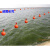 诚信工 海洋航道大浮标球河道湖泊浮球浮漂安全警示标志水位渔网塑料浮球 其他 直径9.3厘米白色