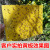 大棚粘虫板双面诱虫板纸贴黄板特粘黄色果园专用防虫贴小飞虫 20cmX15cm  双面20张 进口胶