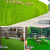 科力邦（Kelibang）仿真人造草坪地毯 塑料假草皮阳台公园装饰绿植绿色地毯 足球场草坪 加密夏草25mm KB1218