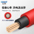 正泰（CHNT） 国标光伏线缆4平方直流电缆太阳能光伏电线铜芯多股软线 PV1-F 4【红色】 100米