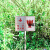 插地式不锈钢消防标识牌消防水泵接合器室外消火栓警示牌标牌定制 地下消防栓(红底) 20x30cm